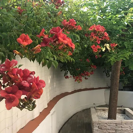 Bed & Breakfast Maison La Fleur De Sel