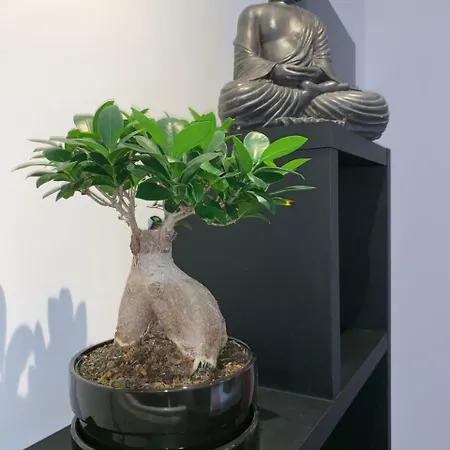 Maison La Fleur De Sel 2*
