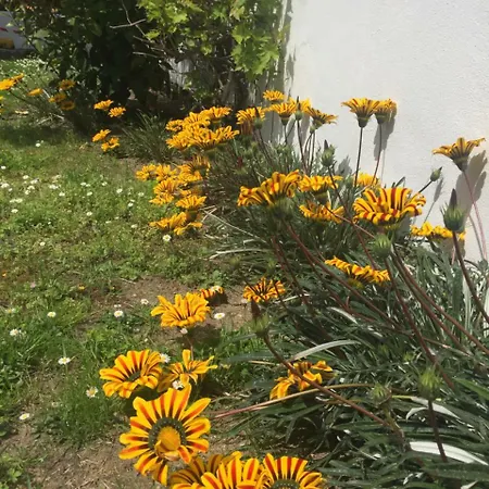 Maison La Fleur De Sel Bed & Breakfast Anglet