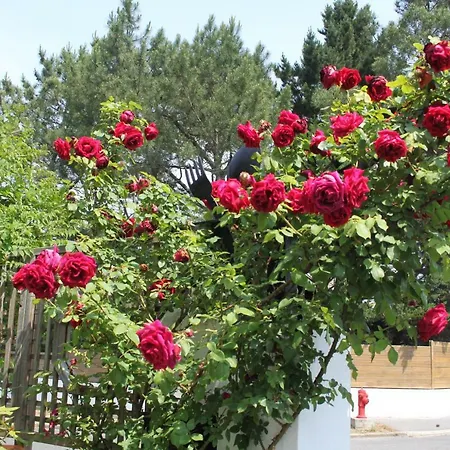 Maison La Fleur De Sel Bed & Breakfast 2*